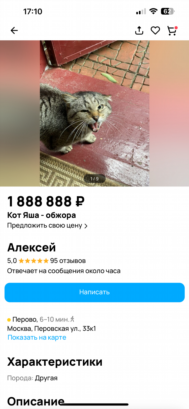 Авито исилькуль объявления