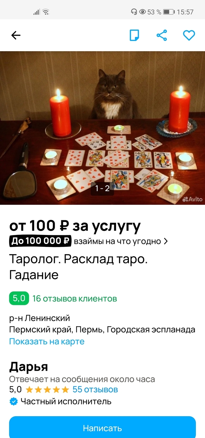 Авито искитим объявления животные частные бесплатные