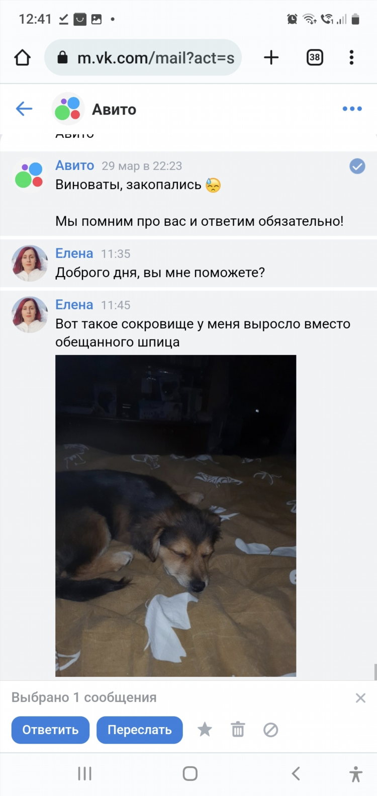 Авито ульяновск бесплатные объявления собаки