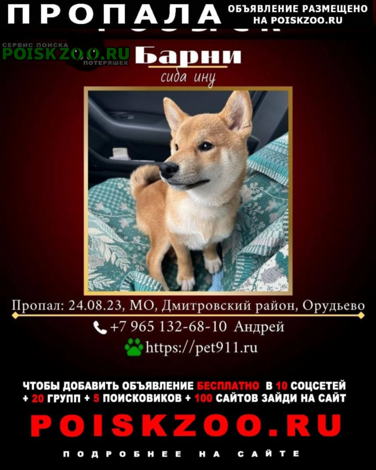 Дмитров объявления