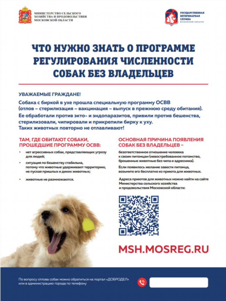 Доска бесплатных объявлений электрогорск