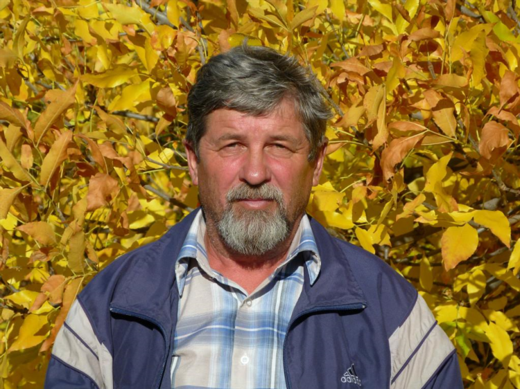 Доска объявлений шолоховского района ростовской области