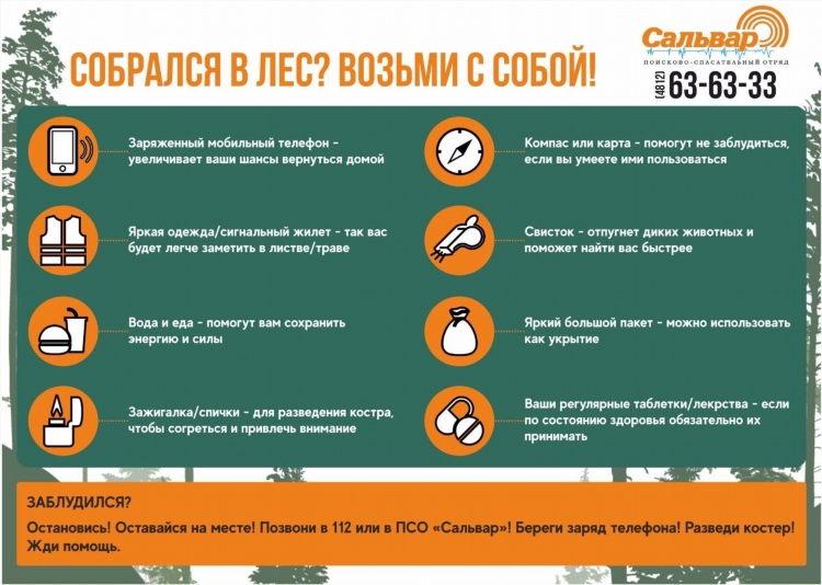 Доска объявлений в лесной