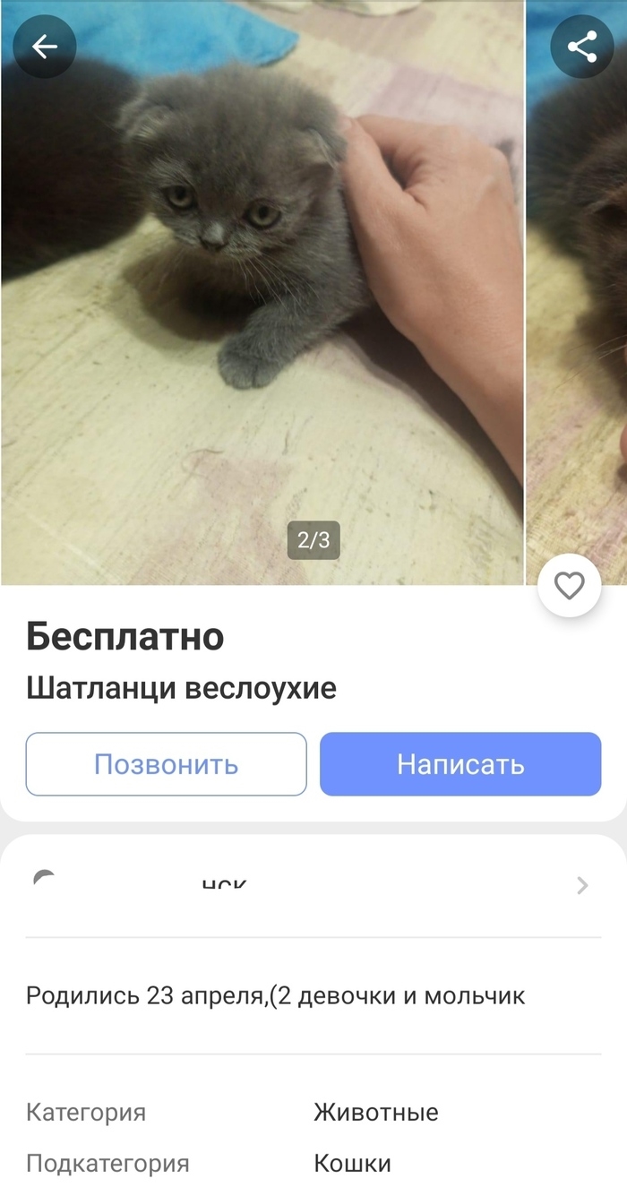 Юла объявление отклонено