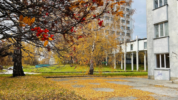 Краснообск доска объявлений