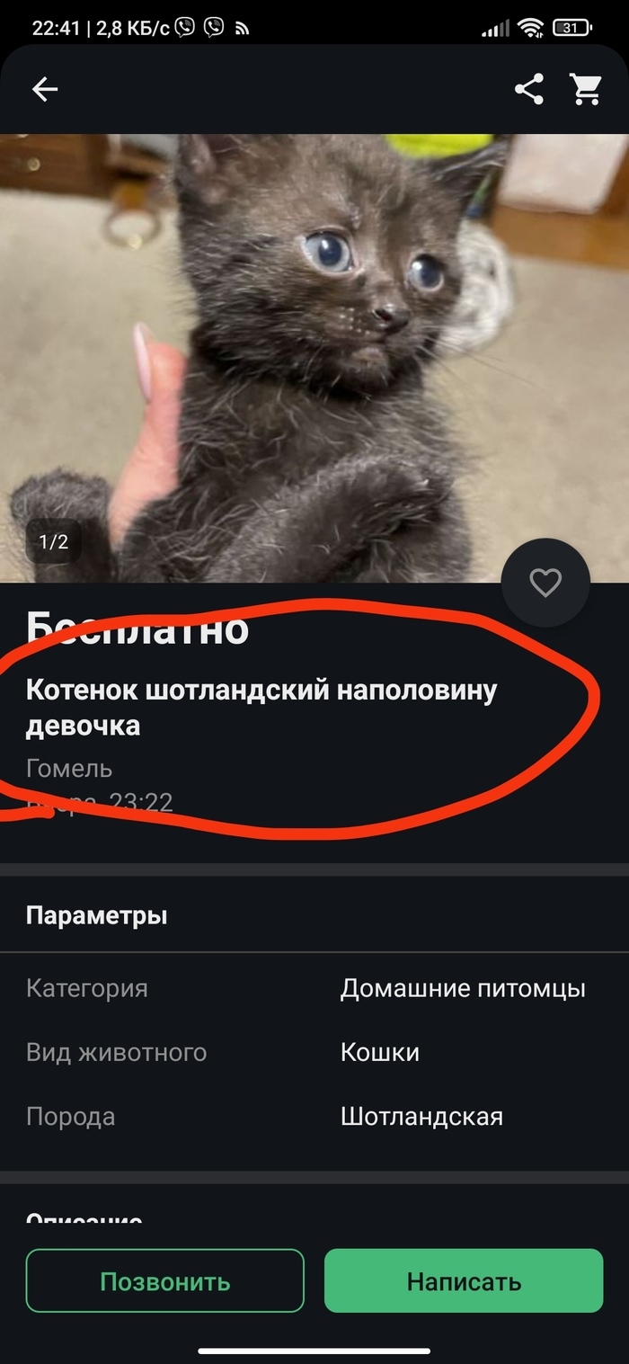 Куфар гомель объявления продажа
