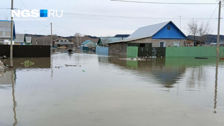 Объявления отдам даром орск