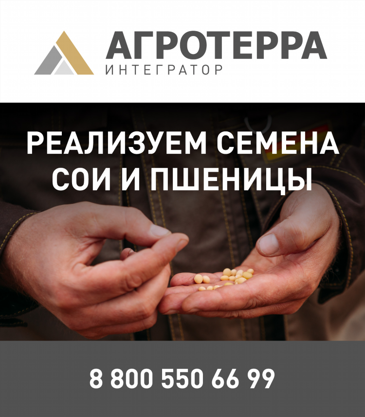 Онлайн зерно доска бесплатных объявлений