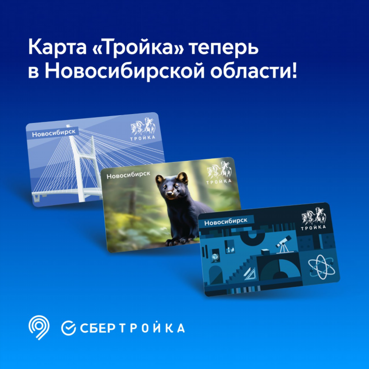 Отдам даром объявления новосибирск свежие