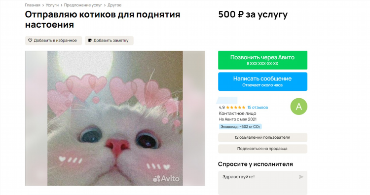 Сколько стоит размещение объявления на авито о сдаче квартиры