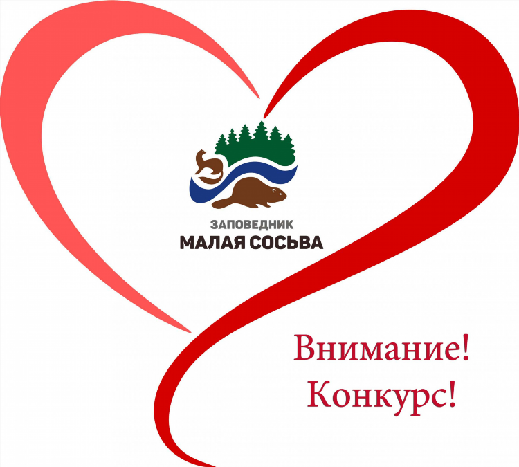 Сосьва объявления в контакте